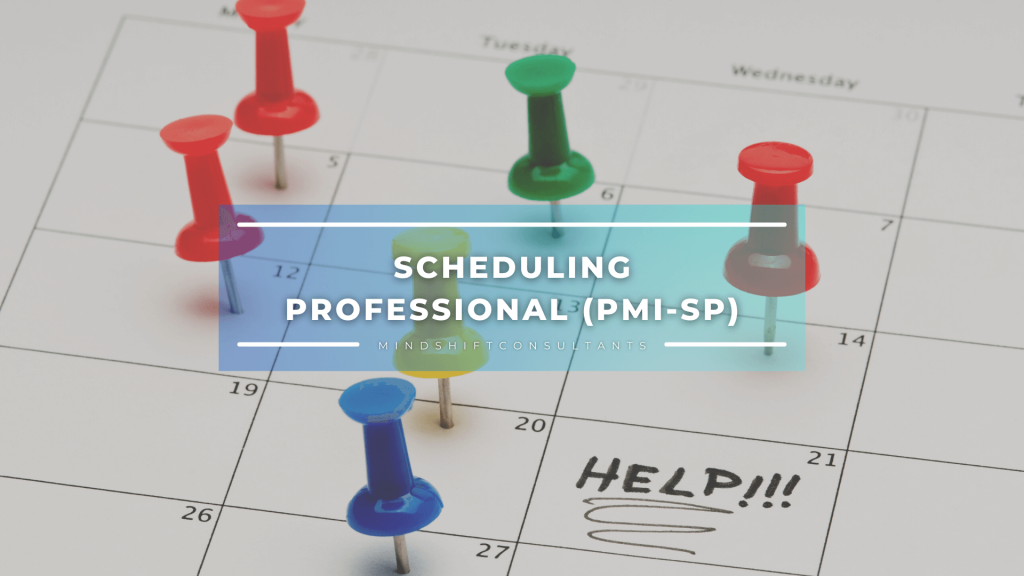 scheduling professional