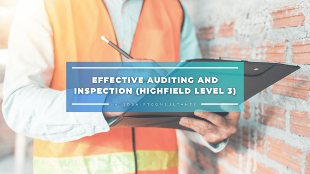 Effective Auditing and Inspection (Highfield Level 3)