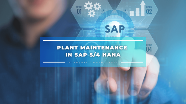 Plant Maintenance in SAP S/4 HANA