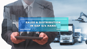 Sales & Distribution in SAP S4 HANA