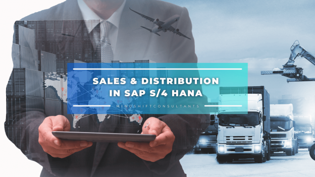 Sales & Distribution in SAP S/4 HANA